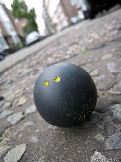 squash ball